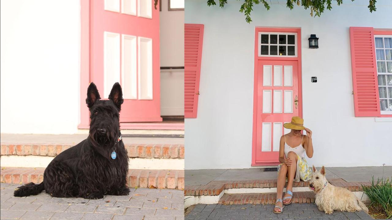 Drostdy Hotel Храфф-Рейнет Экстерьер фото Scottie dogs